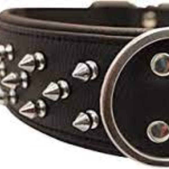 Angel Dog Angel Leather Triple Spiked Dog Collar Nwt Poshmark